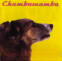 WYSIWYG cover